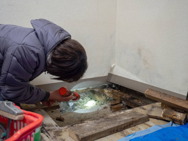 Best Airborne Mold Testing  in South Whitley, IN