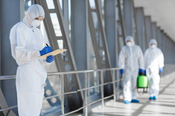 Best Emergency Mold Remediation  in South Whitley, IN