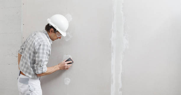 Best Residential Mold Inspection & Testing  in South Whitley, IN