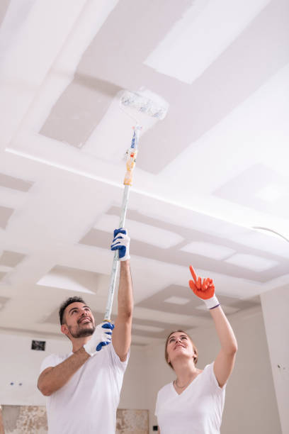 Best Mold Remediation for Healthcare Facilities  in South Whitley, IN