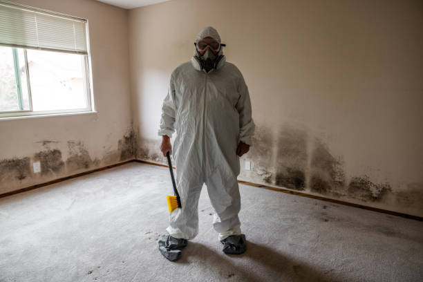 Professional Mold Removal in South Whitley, IN
