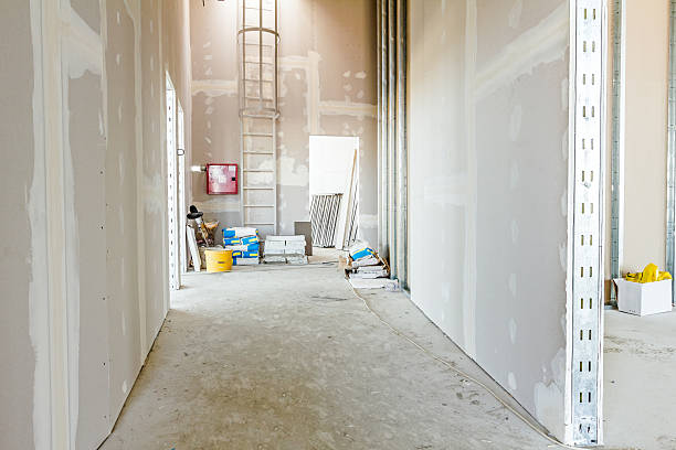 Best Comprehensive Air Testing for Mold Contaminants  in South Whitley, IN