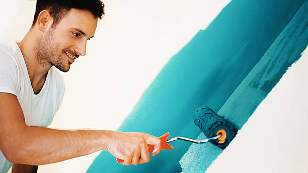 Best Post-Construction Mold Inspection  in South Whitley, IN